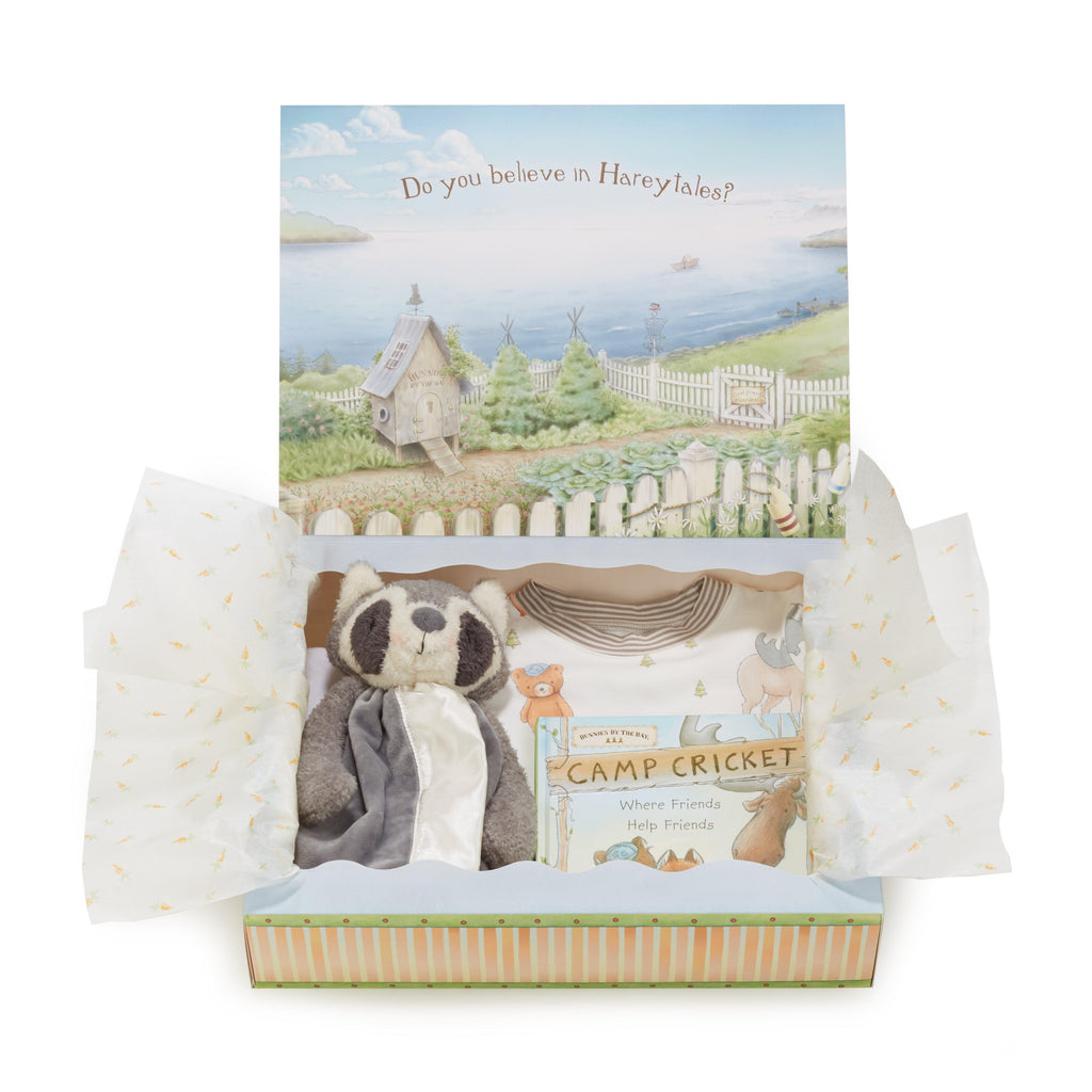 RETIRED - Roxy Raccoon Sleepytime Toddler Gift Set