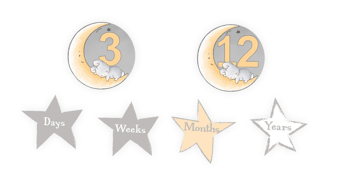 RETIRED - Little Star Picture Perfect Gift Set